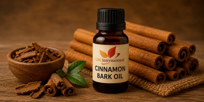 Cinnamon Bark Oil