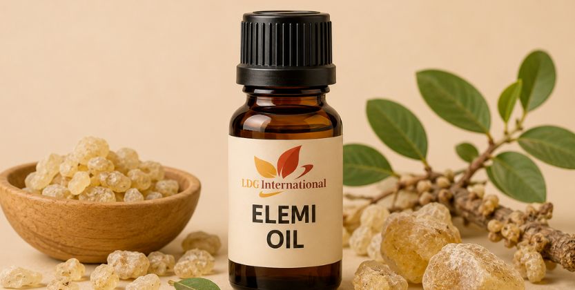 Elemi Oil
