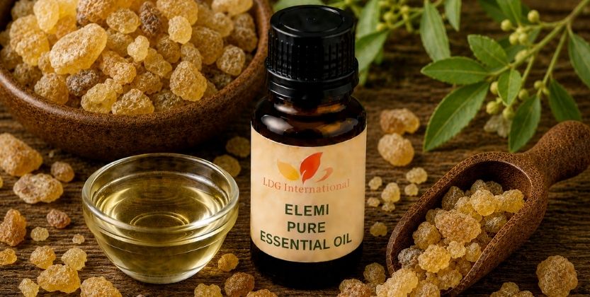 Elemi Pure Essential Oil