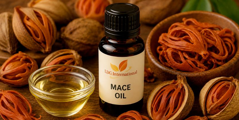 Mace Oil