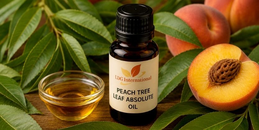 Peach Tree Leaf Absolute Oil